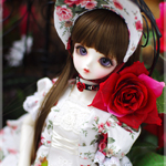 [MSD/M1264] Red roses A line Dress Set